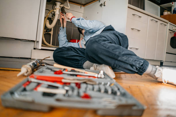 Best Local Plumber Services  in Armada, MI