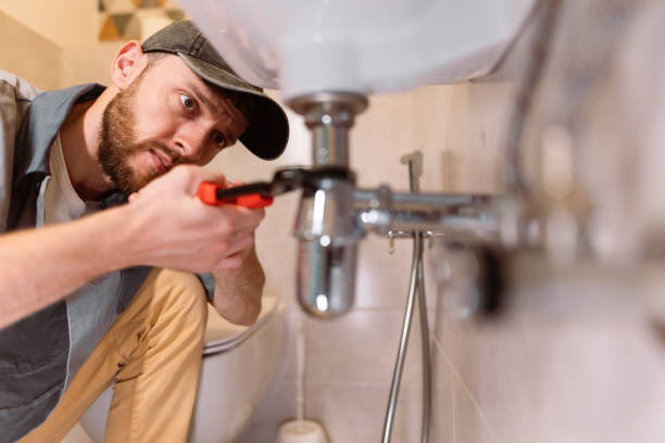 Best Plumbing Inspection Services  in Armada, MI