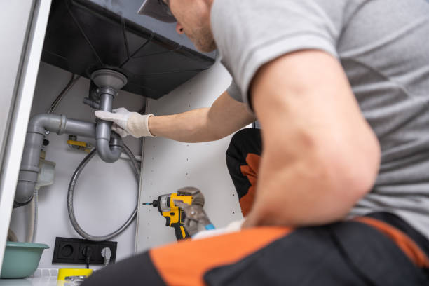 Best Plumbing Inspection Services  in Armada, MI